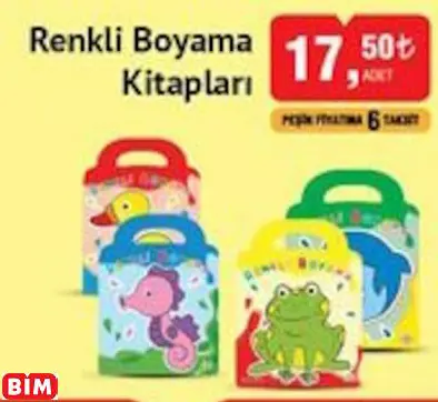 RENKLİ BOYAMA KİTAPLARI